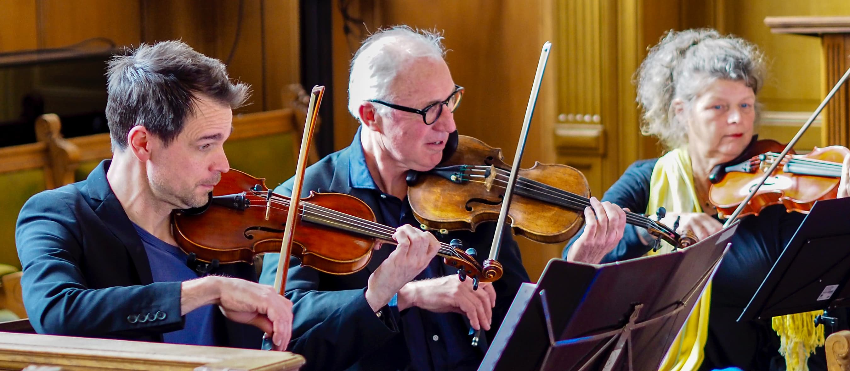 Violisten Deventer Kamer Orkest